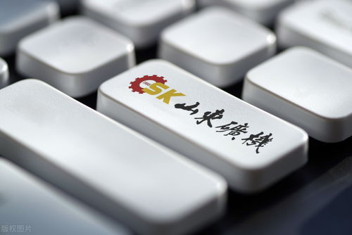 山东矿机 财报揭示股价低迷，互联网游戏服务转型挑战重重